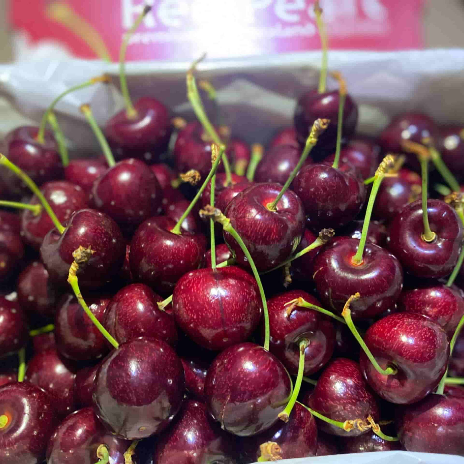 Cherry đỏ